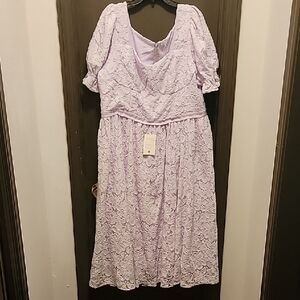 IVY CITY Elegant Lavender Lace Dress 2X. NWT